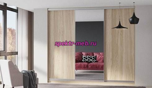 Шкаф-купе Долли 95