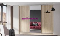 Шкаф-купе Долли 95