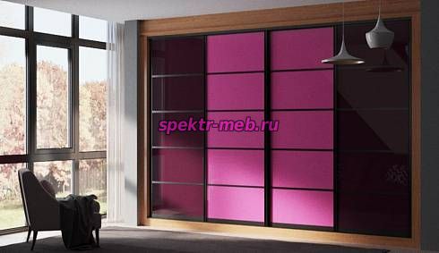 Шкаф-купе Фуксия №58