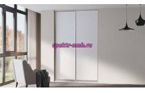 Шкаф-купе Z-172