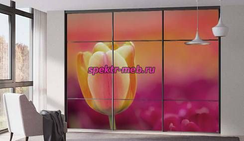 Шкаф-купе № 49