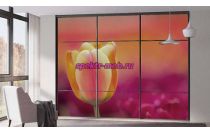 Шкаф-купе № 49