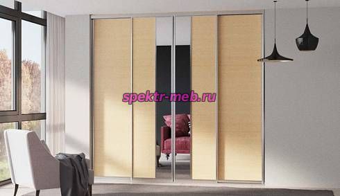 Шкаф-купе Тео 53