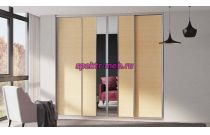 Шкаф-купе Тео 53