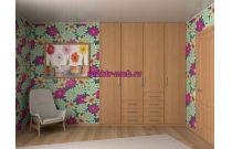 Распашной шкаф 27