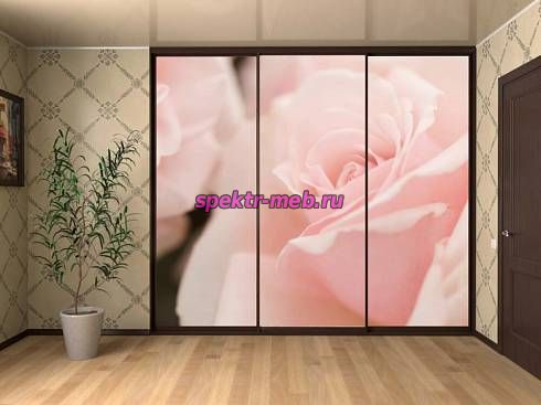 Шкаф-Купе MO18