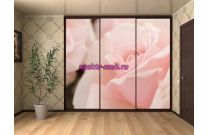 Шкаф-Купе MO18