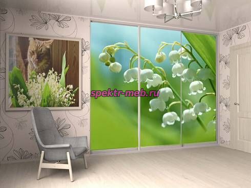 Шкаф-купе № 76