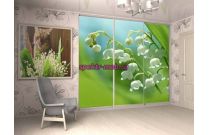 Шкаф-купе № 76