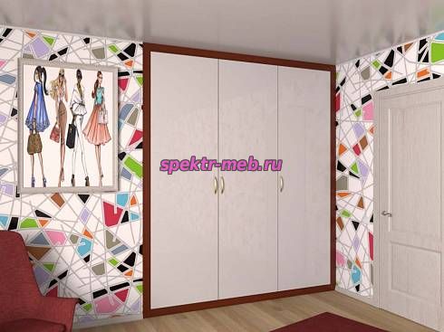 Распашной шкаф 10