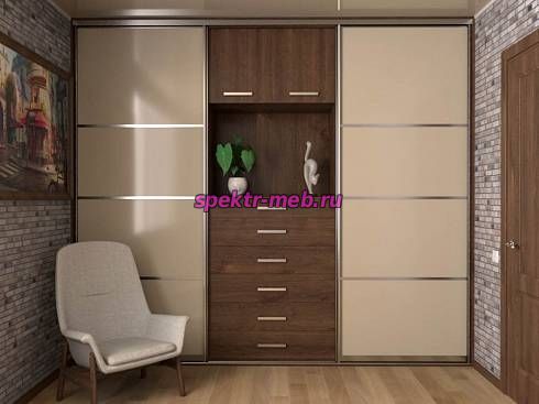 Шкаф-купе 4096