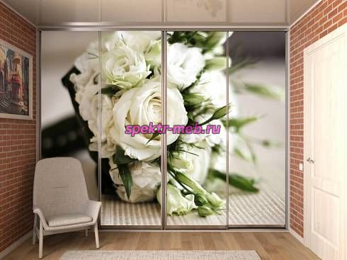 Шкаф-купе 32774