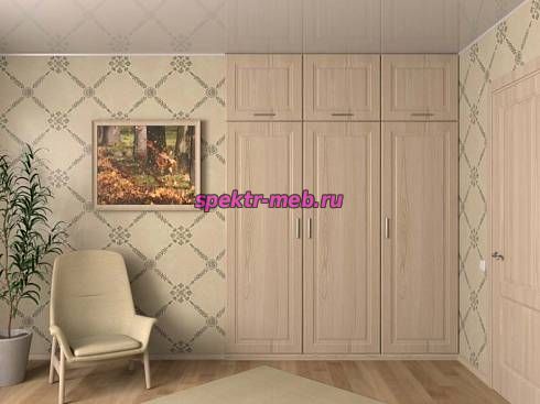 Распашной шкаф 1215