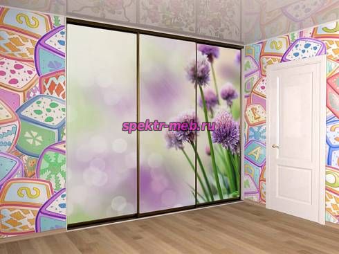 Шкаф-купе Тейсти