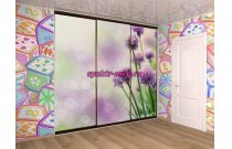 Шкаф-купе Тейсти