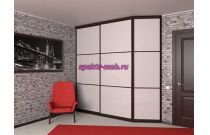 Угловой шкаф 51