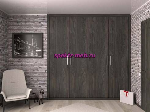 Распашной шкаф 1243