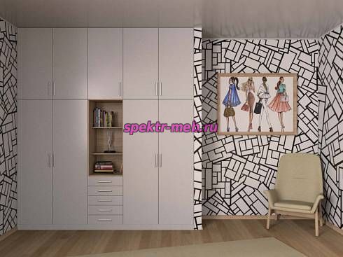 Распашной шкаф Сплин