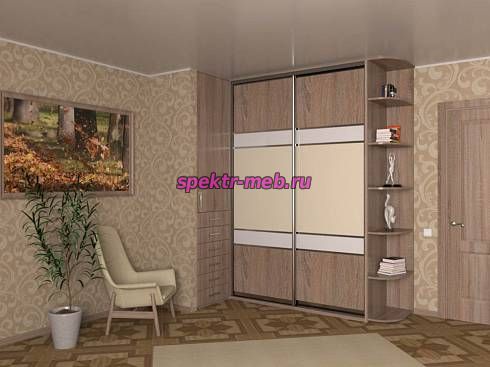 Шкаф-купе Ника Модель 100