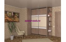 Шкаф-купе Ника Модель 100