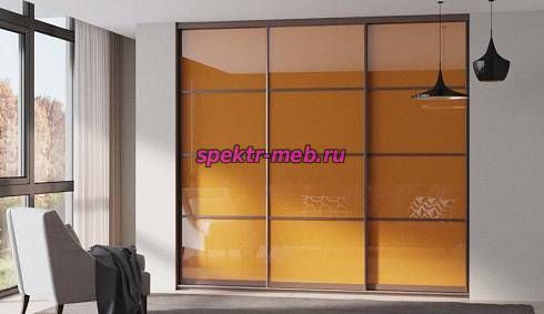 Шкаф-купе Оливия-Н