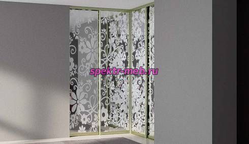 Шкаф-купе Starke v53