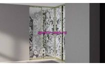 Шкаф-купе Starke v53