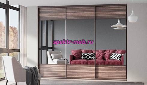 Шкаф-купе Милли