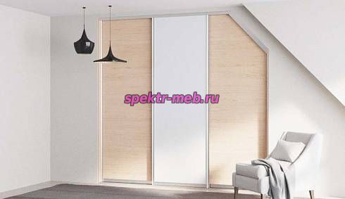 Шкаф-купе Ибби