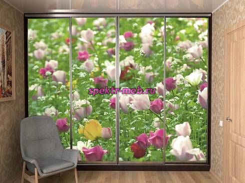 Шкаф-купе №19