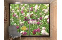 Шкаф-купе №19