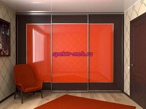 Шкаф-купе 3993