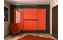 Шкаф-купе 3993