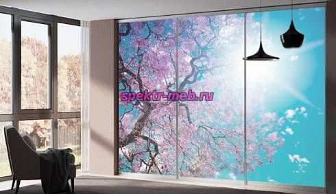 Шкаф-купе № 44