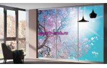 Шкаф-купе № 44