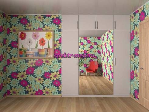 Распашной шкаф 26