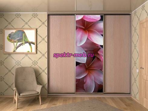 Шкаф-Купе SN71