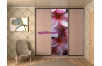 Шкаф-Купе SN71