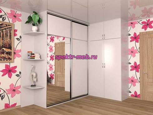 Шкаф-купе Пример 34