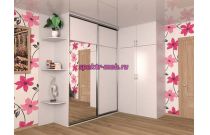 Шкаф-купе Пример 34