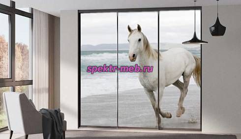 Шкаф-купе В-8