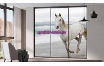 Шкаф-купе В-8