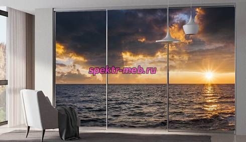 Шкаф-купе Сансет №38