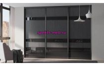 Шкаф-купе Синтия 105