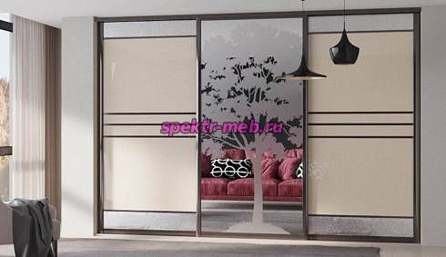 Шкаф-купе Валли 85