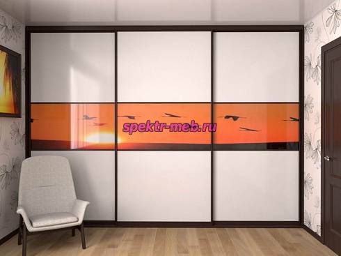 Шкаф-купе 9049