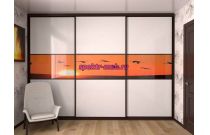 Шкаф-купе 9049
