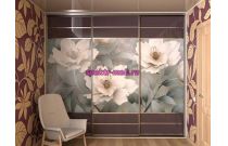 Шкаф-купе – 01121