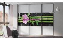 Шкаф-купе Бамбук №54