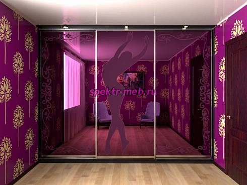 Шкаф-купе 4098